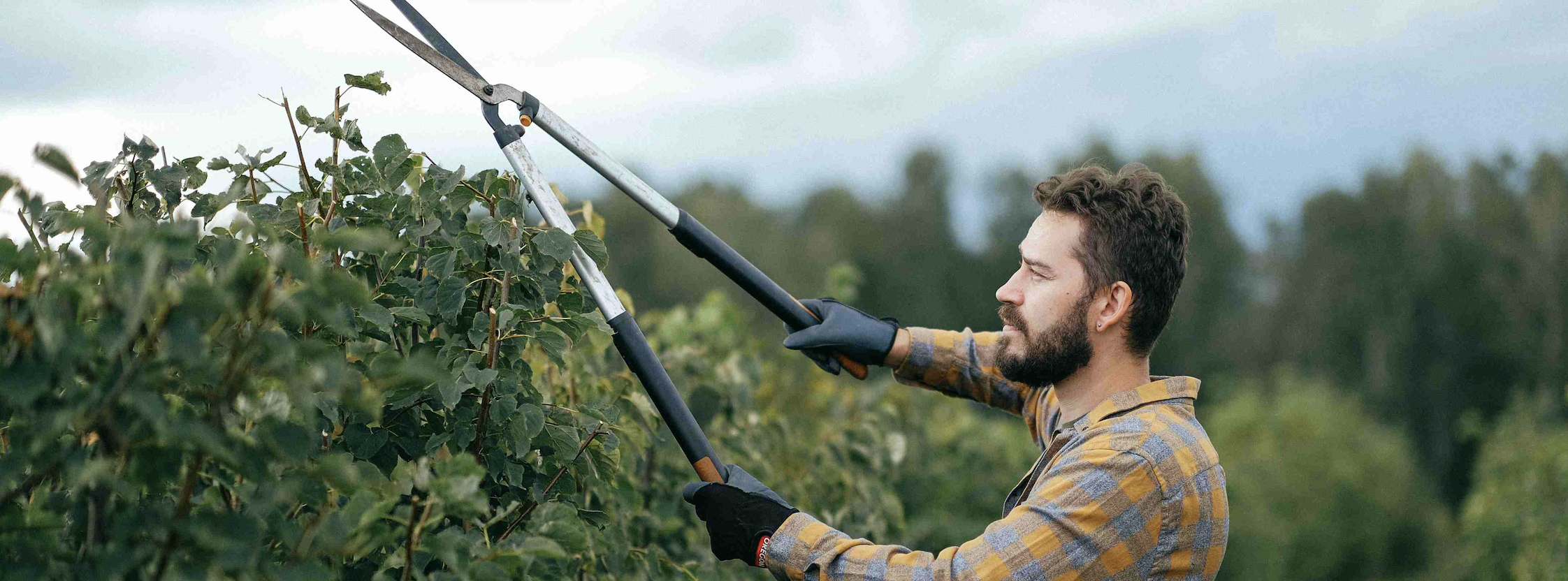 Pracovník provádí zahradnické služby